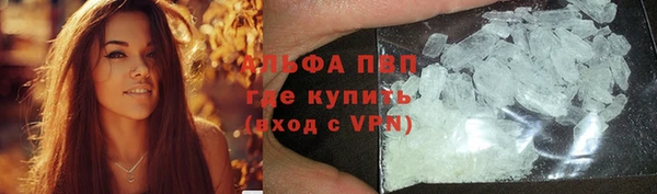 винт Абаза