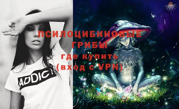 винт Абаза