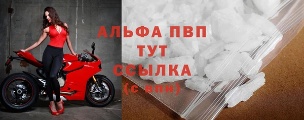 винт Абаза