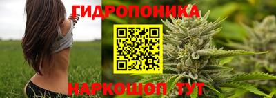 молекула духа Можга