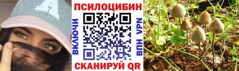 Галлюциногенные грибы мицелий Партизанск