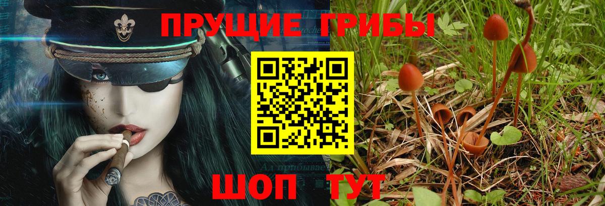 Галлюциногенные грибы мухоморы  Вход с VPN  Галлюциногенные грибы мицелий  Партизанск 